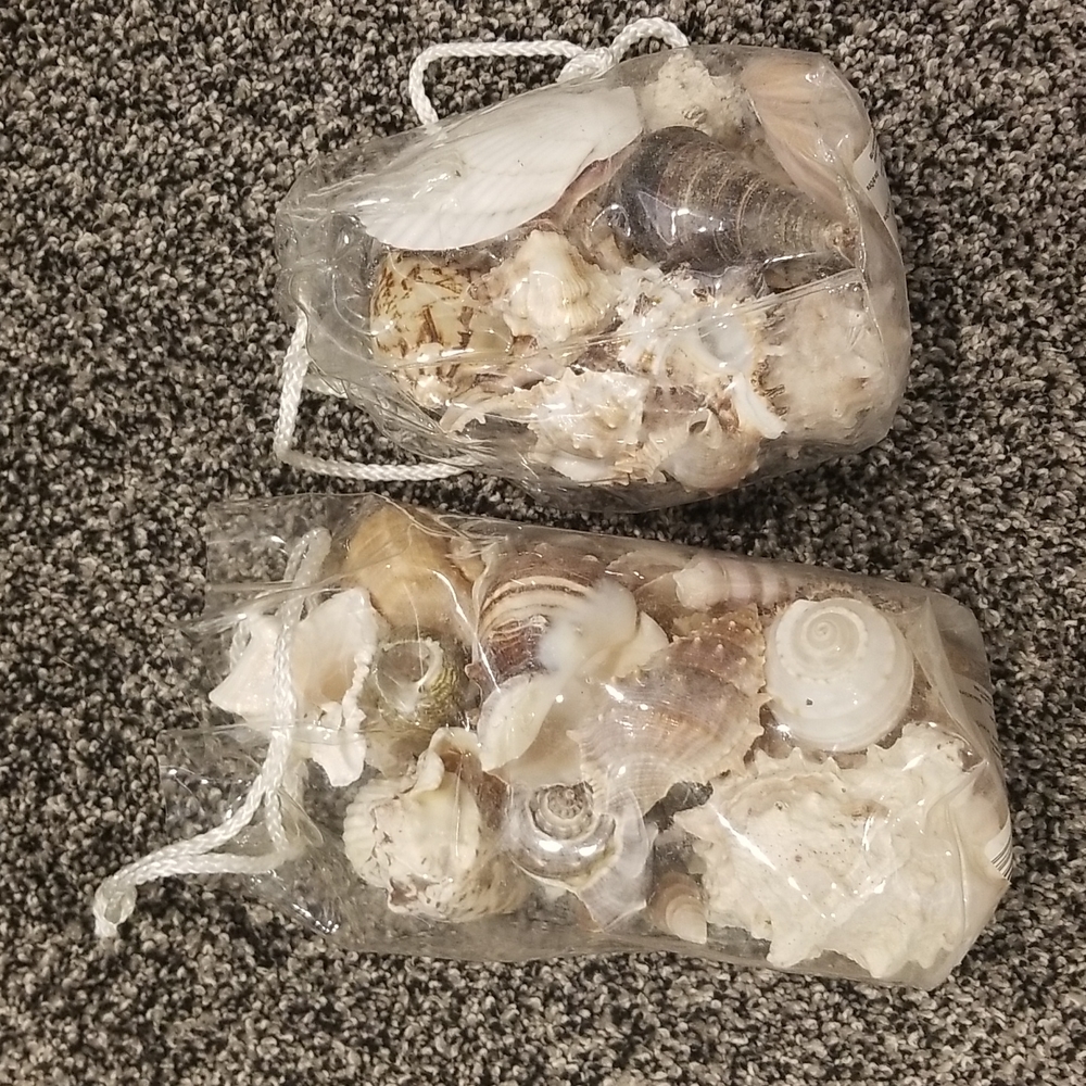 2 bags of decorative sea shells